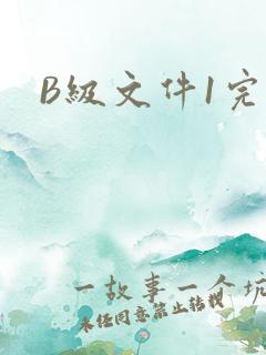 B级文件1完整