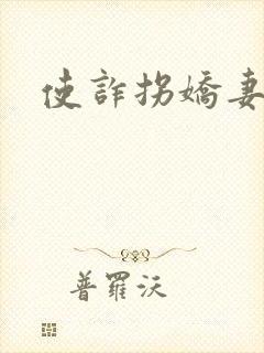 使诈拐娇妻