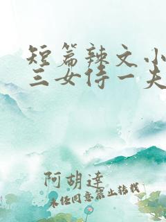 短篇辣文小说集三女侍一夫在线阅读