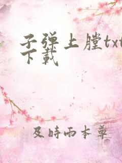 子弹上膛txt下载