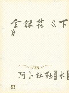 金银花《下厨房》