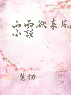 山雨欲来风满楼小说