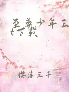 至尊少年王txt下载