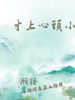 才上心头小说