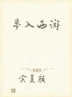 梦入西游