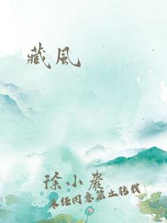 藏风