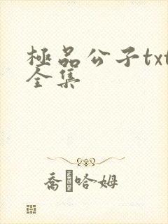 极品公子txt全集