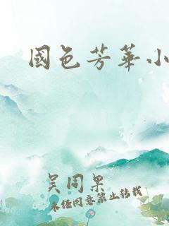 国色芳华小说