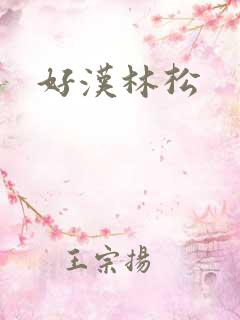 好汉林松