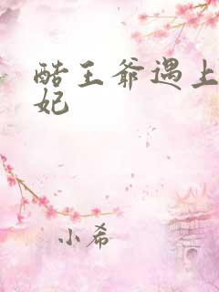 酷王爷遇上穿越妃