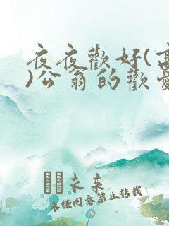 夜夜欢好(高h)公翁的欢爱h