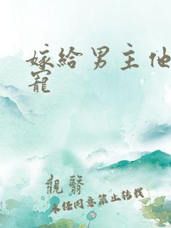 嫁给男主他爹肉宠