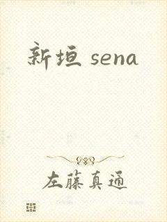 新垣 sena