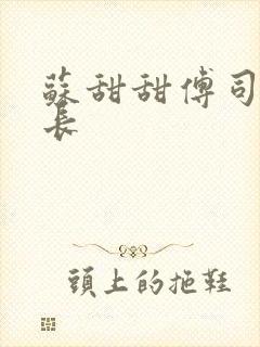 苏甜甜傅司衍机长
