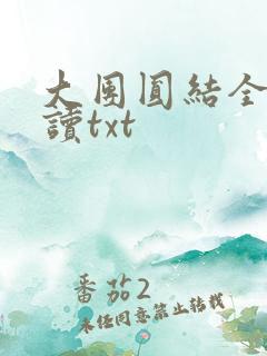 大团圆结全文阅读txt