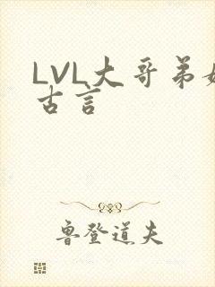 LVL大哥弟媳古言