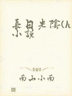 长日光阴(h)小说