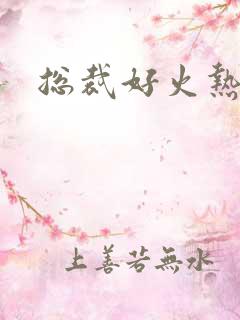 总裁好火热