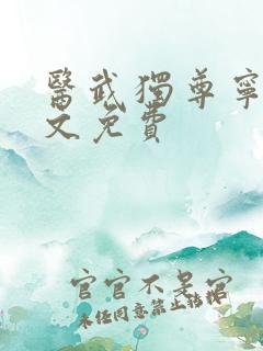 医武独尊宁天全文免费