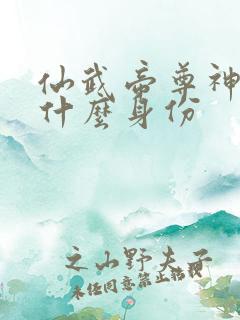 仙武帝尊神玄峰什么身份