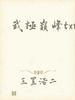 武极巅峰txt