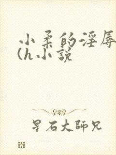 小柔的淫辱日记(h小说