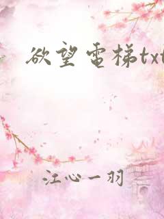 欲望电梯txt