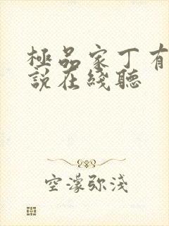 极品家丁有声小说在线听