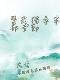 医武独尊宁天全部章节