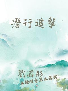 潜行追击