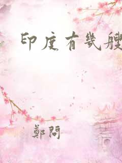 印度有几艘潜艇