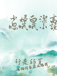 少妇白洁高义嗯嗯哦哦小说