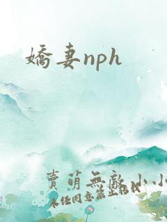 娇妻nph