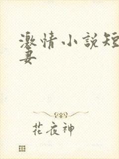 激情小说短篇人妻