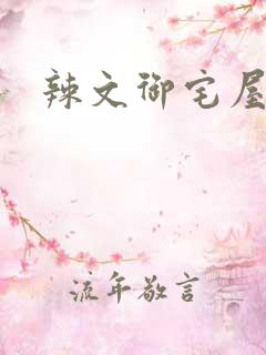 辣文御宅屋