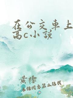 在公交车上弄到高c小说