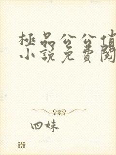 极品公公俏媳妇小说免费阅读