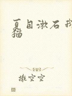 夏目漱石 我是猫