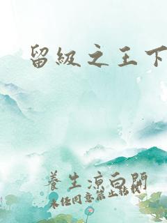 留级之王下载