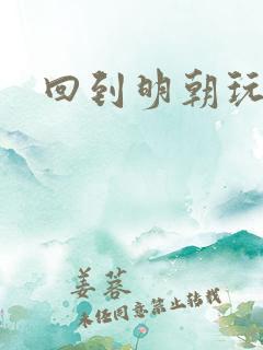回到明朝玩网游