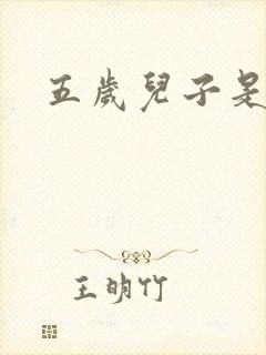 五岁儿子是相公