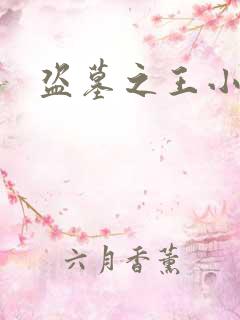 盗墓之王小说
