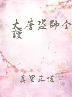 大唐盗帅全文阅读