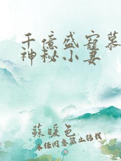 千亿盛宠慕少的神秘小妻