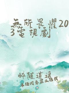 无所畏惧2023电视剧