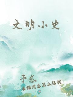 文明小史