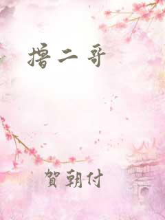 撸二哥