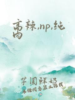 高辣,np,纯肉