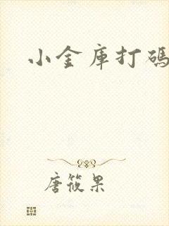 小金库打码平台