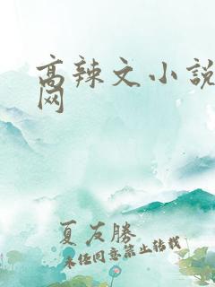 高辣文小说阅读网